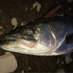 少しサイズダウン